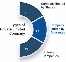 Types of Pvt Ltd Company